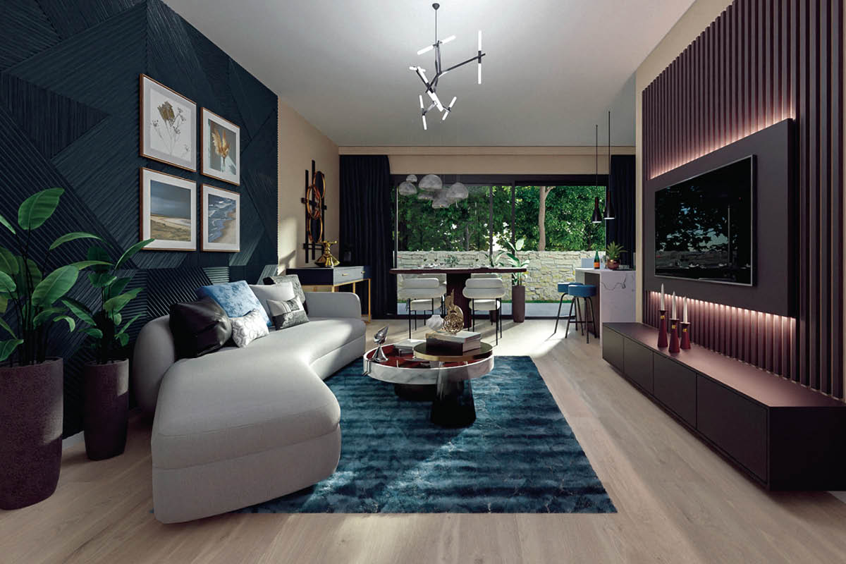 Borbely Levente, Avideo Kft.