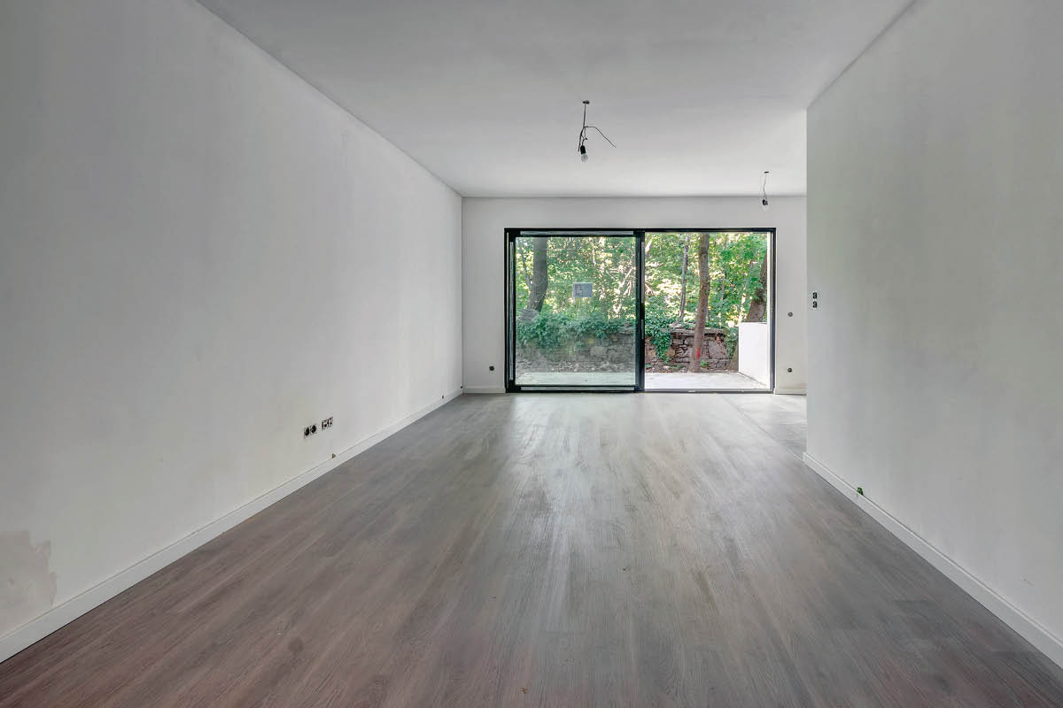 Borbely Levente, Avideo Kft.